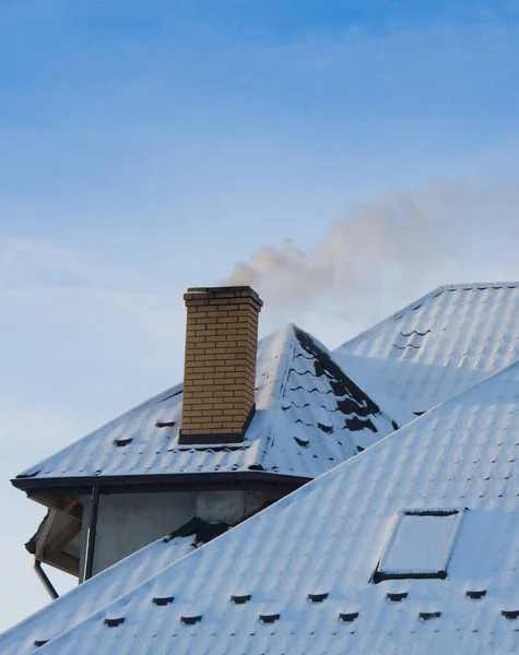 Chimney Inspector at work